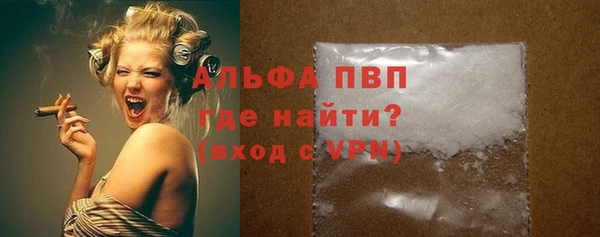 шишки Арсеньев