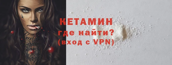 шишки Арсеньев