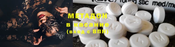 шишки Арсеньев
