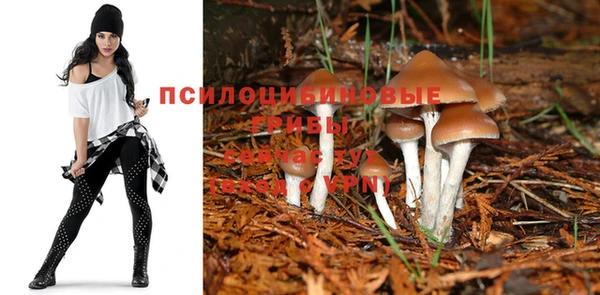 СК Аркадак