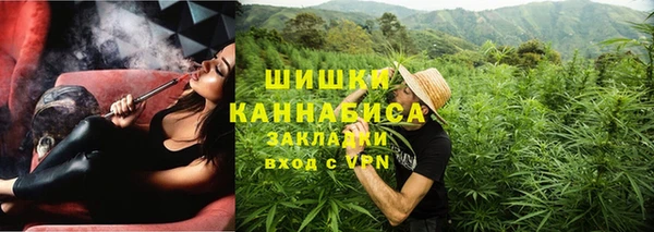 шишки Арсеньев