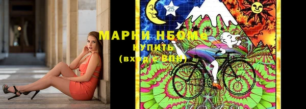 шишки Арсеньев