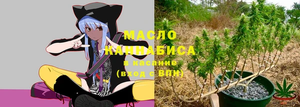 шишки Арсеньев