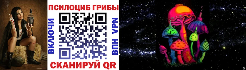 дарнет шоп  Теберда  Псилоцибиновые грибы мицелий 