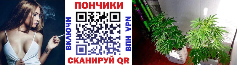 hydra ССЫЛКА Теберда МАРИХУАНА сатива
